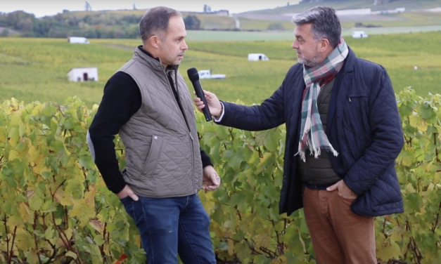 Chouilly : A la découverte du Champagne Michel Genet dans la Côte des Blancs.
