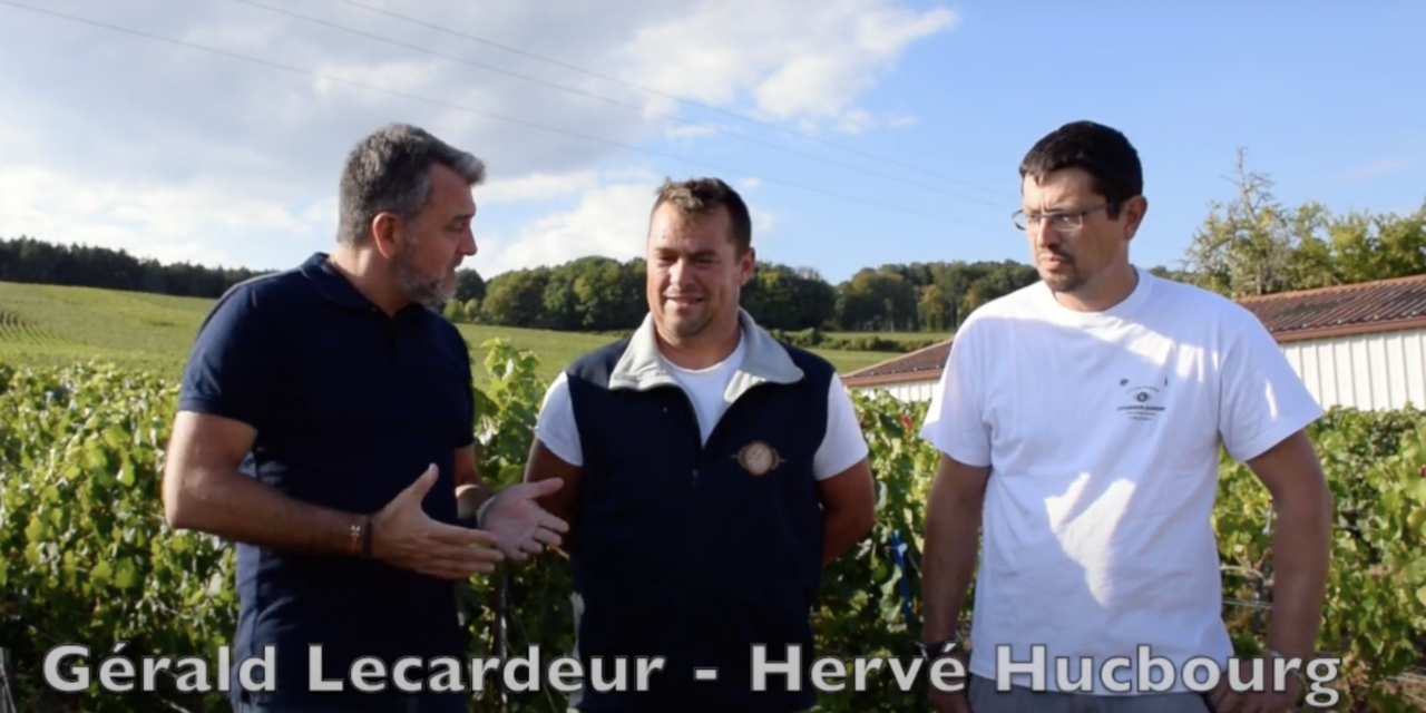 Monthelon : Retour sur la fin des vendanges, Champagne Lecardeur Gaspard