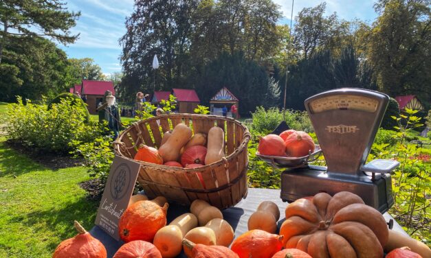 Reims : Le rendez-vous des producteurs locaux : le 11ème Marché des Producteurs au Domaine des Crayères