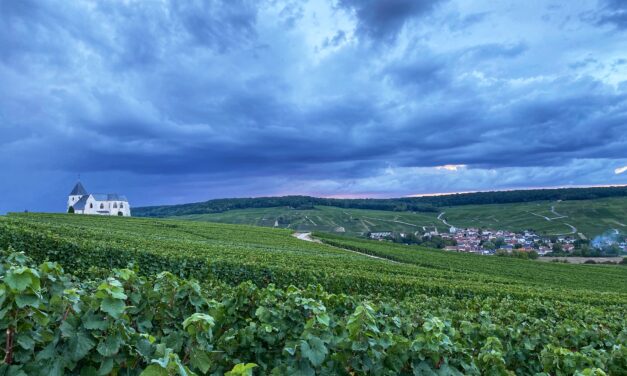 Carnet de Route : Accordez-vous 48 heures en Champagne