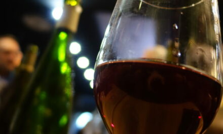 Reims : Le Wine Bar by Le Vintage : Quand la passion s’associe à la compétence au service de la dégustation !