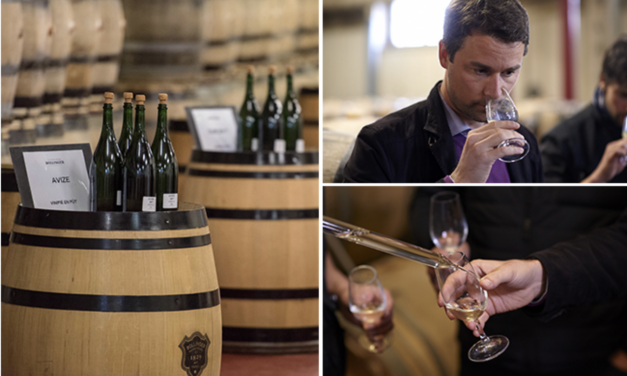 Aÿ-Champagne : Avez-vous déjà déguster des vins clairs ? Une expérience que vous propose la Maison Bollinger