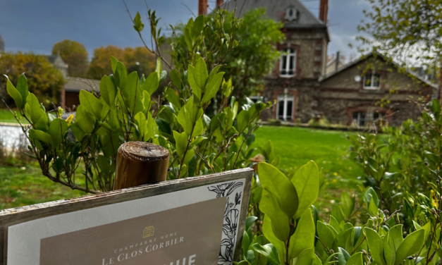 Mareuil-sur-Aÿ  : Le Clos Corbier, le charme d’une demeure familiale, pour un déjeuner, une dégustation ou un séjour au coeur de la Champagne