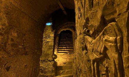 Reims : Champagne Taittinger, à la (re)découverte des caves et du nouvel espace d’accueil et de dégustation de la Maison