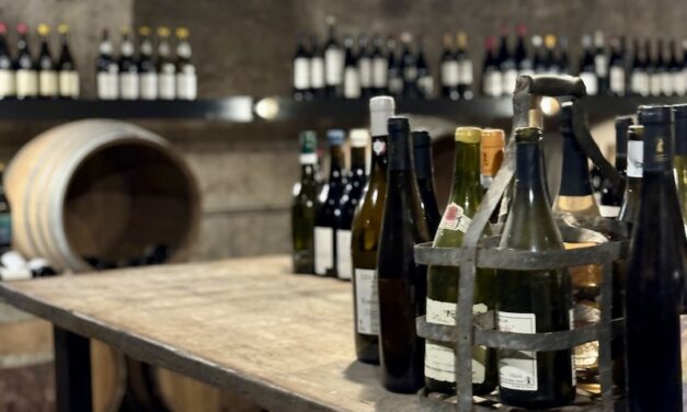 Reims : Le Pressoir, Boutique de Vins et Cave de dégustation au cœur du Boulingrin