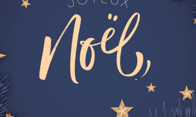 Art de Vivre à la Champenoise vous souhaite de joyeuses fêtes de Noël en Champagne et ailleurs !