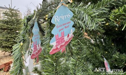 Reims : le marché de Noël !