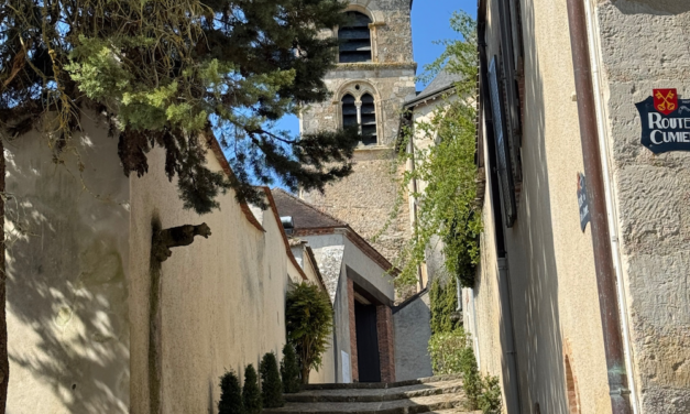 Printemps à Hautvillers : panorama, patrimoine et douceur de vivre en Champagne